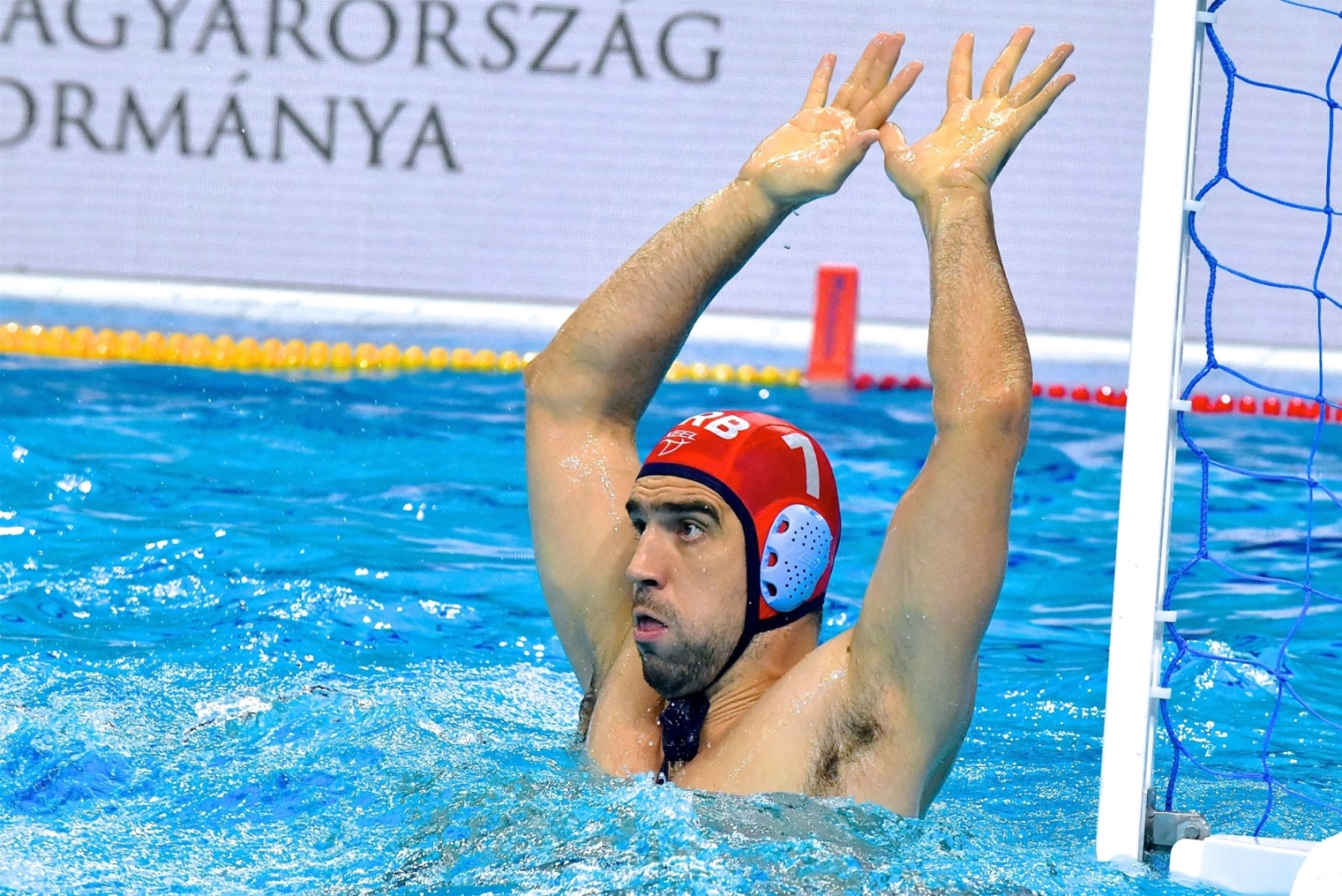 gojko budimpesta